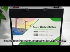 Pacco batteria agli ioni di litio LiFePO4 12V 100Ah