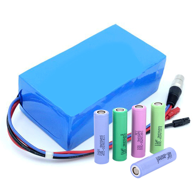 LiFePO4 Lithium Battery Custom 24V 36V 48V Recumbent Electric Trike Battery 20AH-120AH Electric Tricycle Battery Packs