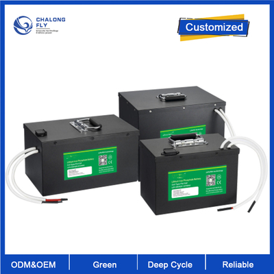 OEM ODM LiFePO4 batterie al litio AGV veicoli guidati automatizzati sistema 24v 80v