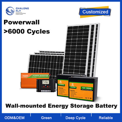 OEM ODM LiFePO4 batteria al litio 1200W 24V Sistema di energia solare con 2 pacchetti di batterie al litio da 100Ah