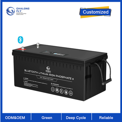 OEM ODM LiFePO4 batteria al litio 12V 200Ah batteria al litio batteria personalizzata pacchetti di batterie al litio