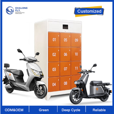 Batteria del motorino di Ebike del litio del ODM LiFePO4 dell'OEM che scambia la batteria su misura caricantesi veloce del Governo della stazione