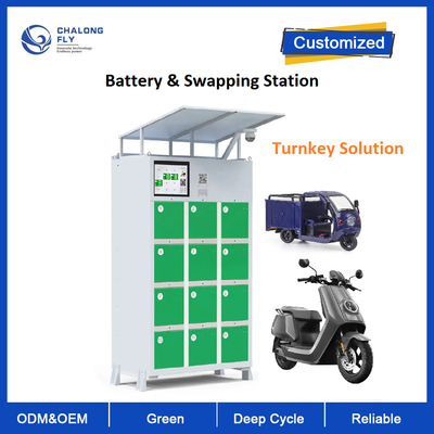 Batteria dicarico all'aperto intelligente che scambia il Governo della stazione per la batteria dei risciò del motociclo del motorino della E-bici