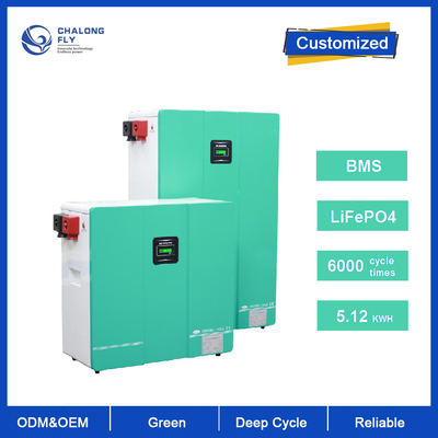 Batteria su misura di Ion Battery Pack LifePo4 24V 48V 200Ah Powerwall del litio per il sistema domestico solare di immagazzinamento dell'energia
