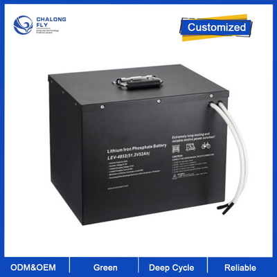OEM LiFePO4 batteria al litio Pure Sine Wave 24V 48V 51.2V 100Ah 150Ah 200Ah batterie al litio