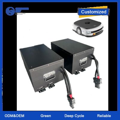 Batteria al litio per robot AGV 25,6V 51,2V 83,2V 100A 150A 200Ah 48V Lifepo4 con caricabatterie, batteria agli ioni di litio per AGV