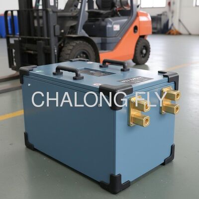 Batteria per carrelli elevatori a ioni di litio con più di 2000 cicli e 380AH di corrente di uscita per carrelli elevatori tedeschi