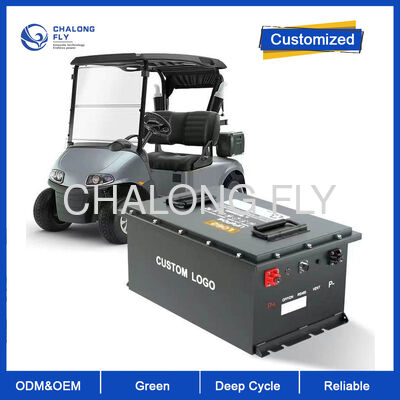 Batteria LiFePO4 per carrelli elevatori da 200V a 300Ah