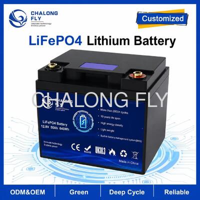 Pacchetto batteria LiFePO4 personalizzato da 12,8V 50Ah con BMS integrato per camper RV e alimentazione ausiliaria