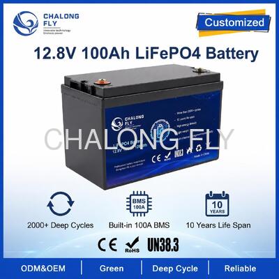 Pacco Batteria LiFePO4 Personalizzato 12.8V 100Ah con BMS per Lampioni Solari e Alimentazione Ausiliaria RV