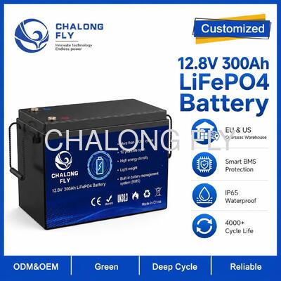 Pacco Batteria LiFePO4 Personalizzato 12.8V 314Ah con BMS per Alimentazione Portatile e Accumulo Solare