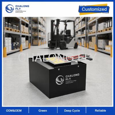 Batteria per carrello elevatore LiFePO4 da 51,2 V 608 Ah con monitoraggio 4G e display SOC