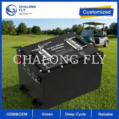 Batteria per golf cart LiFePO4 da 51,2V 105Ah con capacità da 5376Wh e BMS intelligente per conversione da piombo-acido da 48V