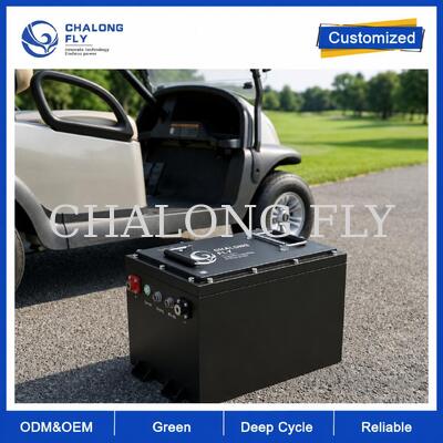 Batteria per golf cart LiFePO4 da 36V e 48V 105Ah con BMS intelligente per veicoli della flotta