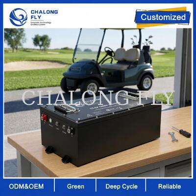Batteria per golf cart LiFePO4 OEM ODM con tensione personalizzata, BMS personalizzato e comunicazione CAN
