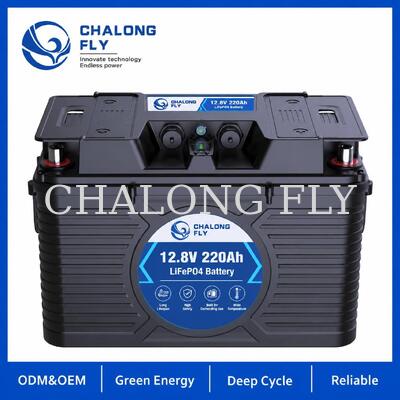12.8V 220Ah NMEA 2000 Smart LiFePO4 Marine Battery con integrazione Victron