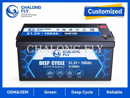 Batteria per motore elettrico 51.2V 100Ah LiFePO4 con energia da 5.12kWh, monitoraggio Bluetooth e uscita continua da 100A
