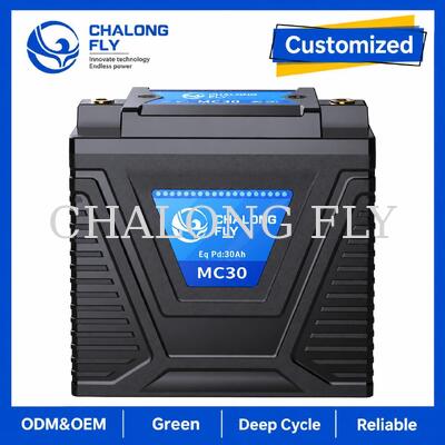 Batteria di avviamento per moto LiFePO4 da 12,8V 10Ah 600A per sostituzione piombo-acido da 15-30Ah