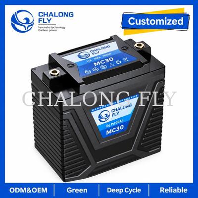 Batteria di avviamento per moto LiFePO4 da 12,8V 5Ah 300A per sostituzione piombo-acido da 8-14Ah