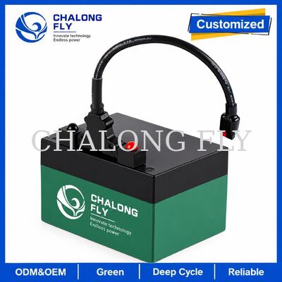 12.8V 18Ah 24Ah LiFePO4 Golf Trolley Battery con connettore T-Bar