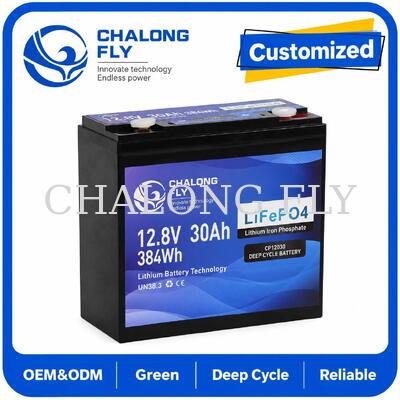 12.8V 30Ah LiFePO4 Deep Cycle Battery con 384Wh di energia e Smart BMS per sistemi 12V