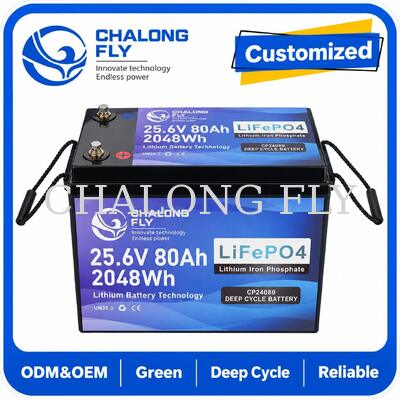 Batteria LiFePO4 da 25,6V 70Ah con diagnostica remota Bluetooth e 1,792 kWh per scooter elettrici e sedie a rotelle