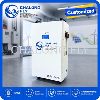 51.2V 300Ah 15.36kWh LiFePO4 Home Energy Storage Battery per sistema di accumulo di energia residenziale