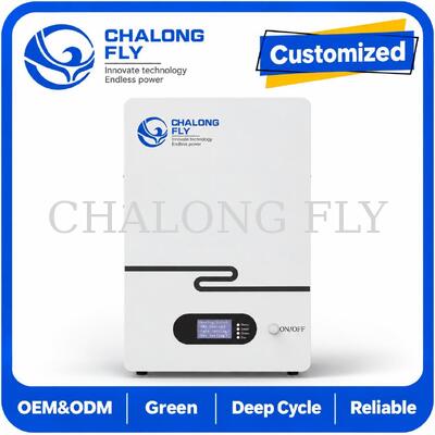 48V 51.2V 5kWh 10kWh LiFePO4 Batteria di accumulo di energia residenziale per sistemi di batterie solari domestici