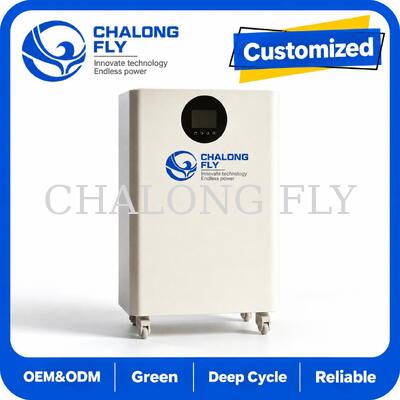 16 kWh All-in-One LiFePO4 Residential Energy Storage System per il backup solare domestico