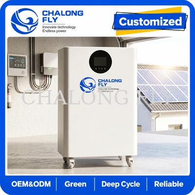 16kWh LiFePO4 All-in-One Solar ESS con Inverter Ibrido da 12kW per Sistema di Accumulo Energetico Residenziale