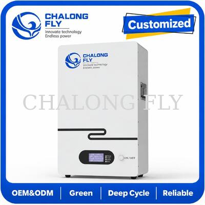 Sistema di accumulo di energia solare domestica LiFePO4 da 51,2 V montato a parete per alimentazione di backup